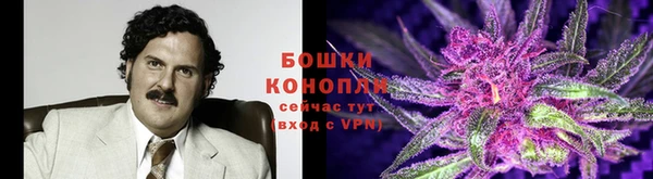 первитин Бородино