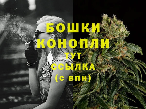 МДПВ Семёнов